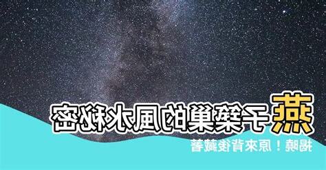 燕子 意義